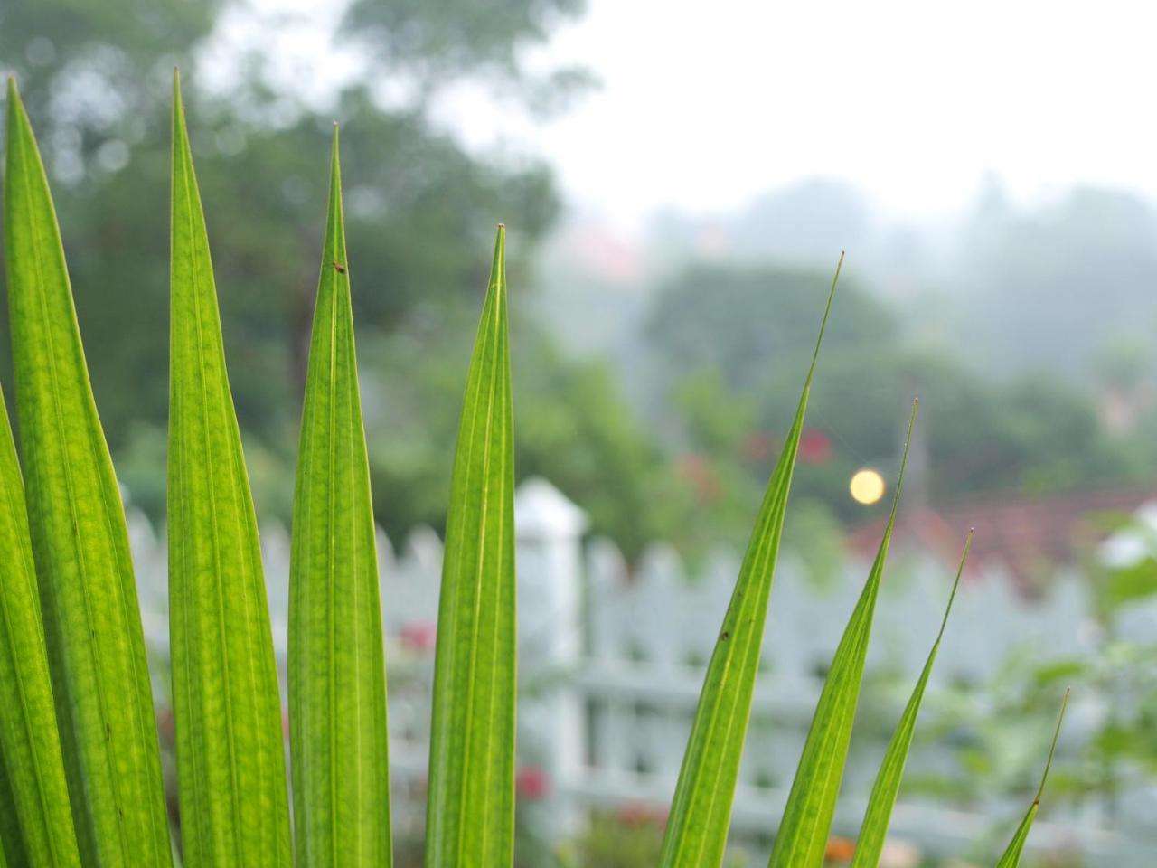 Namal Stay Weligama Zewnętrze zdjęcie