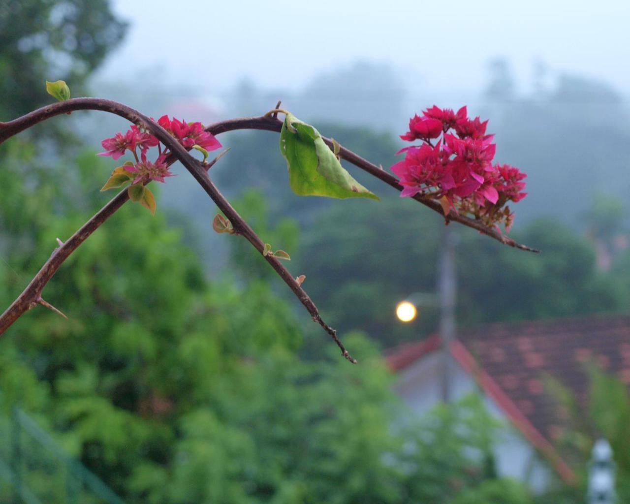Namal Stay Weligama Zewnętrze zdjęcie